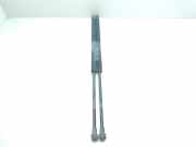 Gasdruckfedern Set Hinten 51248402405 BMW X5 (E53) SUV 3.0d 24V (M57-D30(306D1))