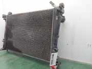 Radiator 95510451 Fiat Bravo (198A) Schrägheck 1.9 JTD Multijet (192.A.8000)