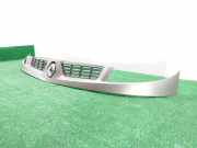 Grill 8200150629C Renault Kangoo (KC) Großraumlimousine 1.9 dCi 4x4 85 (F9Q-790)