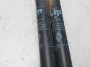 Gasdruckfedern Set Hinten 7702144629 Renault (B/C40) TL (B/C 401. B/C 40H) 46 CV / 34 KW