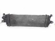 Ladeluftkühler 8200411160C Renault Trafic New (EL) Ch.Cab/Pick-up 2.0 16V (F4R-720)