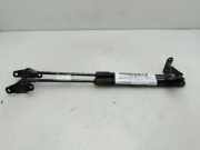 Gasdruckfedern Set Hinten 51247060622 BMW 1 serie (E87/87N) Schrägheck 5-drs 118d 16V (N47-D20C)