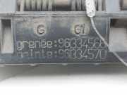 Türgriff Außen Ra 96334566 Citroën Xsara Break (N2) Kombi 2.0 HDi (DW10TD(RHY))