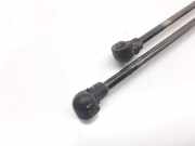 Gasdruckfedern Set Hinten 9619988380 Peugeot BERLINA 3/4/5 PUERTAS (S2) Style 68 CV / 50 KW