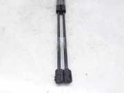 Gasdruckfedern Set Hinten 1219986 Ford Mondeo III Limousine 2.0 TDCi 130 16V (FMBA)