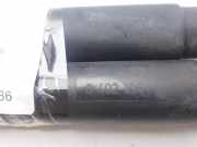 Gasdruckfedern Set Hinten 8402195 BMW (E53) 3.0d 218 CV / 160 KW