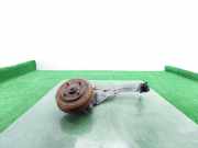 Achsschenkel Halter Links Hinten 4628835 Ford Focus 1 Limousine 1.8 TDCi 100 (FFDA)