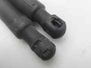 Gasdruckfedern Set Hinten A1699800964 Mercedes-Benz B (W245) Schrägheck 2.0 B-200 CDI 16V (OM640.941)