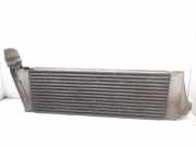 Ladeluftkühler 8200115540 Renault Scénic II (JM) Großraumlimousine 1.5 dCi 105 (K9K-732)