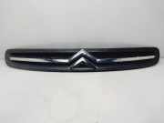 Grill 9650059677 Citroën Xsara Picasso (CH) Großraumlimousine 1.6i 16V (TU5JP4(NFU))