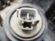 Blinker Rechts Vorne 8152144010 Toyota Picnic (XM10) Großraumlimousine 2.2 TD GL,GX (3CTE)