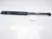 Gasdruckfedern Set Hinten 8200377199 Renault SCENIC II Confort Dynamique 120 CV / 88 KW