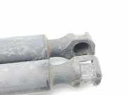 Gasdruckfedern Set Hinten 8731C2 Citroën Xantia Break (X1/2) Kombi 1.9 TD X,SX (XUD9TF-Y(DHX-1))
