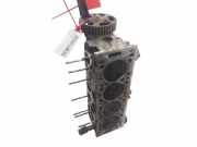 Zylinderkopf WJY Citroën Berlingo Van 1.9 Di (DW8B(WJY))