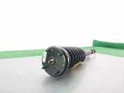 Stoßdämpfer Links Vorne C2Z27765 Jaguar XF (CC9) 3.0 D V6 24V (306DT)