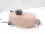 Ausgleichbehälter - - 7700312900 Renault Trafic New (FL) Van 2.0 dCi 16V 115 (M9R-782)