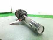 Stoßdämpfer Rechts Vorne 31316786018 BMW 1 serie (E87/87N) Schrägheck 5-drs 118d 16V (M47-D20(204D4))