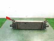Ladeluftkühler 5S6H9L440AD Ford Fiesta 5 (JD/JH) Schrägheck 1.6 TDCi 16V (HHJA)