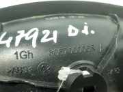 Türgriff Innen Links Vorne 806700006R Renault Zen 90 CV / 66 KW