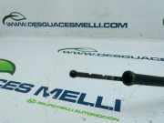 Ölpeilstab YS6G6750BC Ford FOCUS BERLINA (CAP) Trend 101 CV / 74 KW