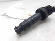 Zündspule 273012B010 Hyundai i30 Schrägheck 1.4 CVVT 16V (G4FA)