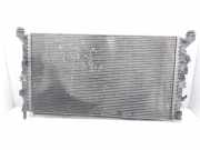 Radiator 222004N Volvo S40 (MS) Limousine 1.6 D 16V (D4164T) 2006