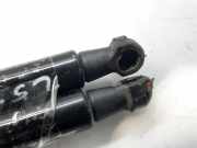 Gasdruckfedern Set Hinten 689600F031 Toyota Verso Großraumlimousine 2.0 16V D-4D-F (1AD-FTV)