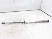 Gasdruckfeder Set Vorne 6Q0823359 Volkswagen Polo IV (9N1/2/3) Schrägheck 1.4 TDI 75 (AMF) AMF