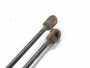 Gasdruckfedern Set Hinten 0051812267 Fiat Bravo (198A) Schrägheck 1.6 JTD Multijet 105 (198.A.3000)