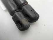 Gasdruckfedern Set Hinten 844300001R Renault Laguna III (BT) Schrägheck 5-drs 2.0 dCiF 16V 130 (M9R-802(M9R-B8))