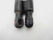 Gasdruckfedern Set Hinten A1699800964 Mercedes-Benz B (W245) Schrägheck 2.0 B-180 CDI 16_V (OM640.940)