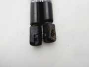 Gasdruckfedern Set Hinten 8731E6 Peugeot 206 (2A/C/H/J/S) Schrägheck 1.4 HDi (DV4TD(8HZ))