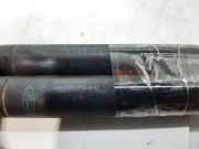 Gasdruckfedern Set Hinten XS41F406A10AF Ford Focus 1 Limousine 1.8 TDdi (C9DB)