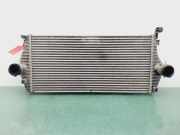 Radiator 253101D200 Kia (UN) Concept 113 CV / 83 KW