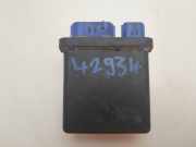 Relais YWB100980 Land + Range Rover Freelander Hard Top Geländewagen 2.0 di (20LTCIE)