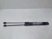 Gasdruckfedern Set Hinten 9800717680 Citroën C4 Berline (NC) Schrägheck 5-drs 1.2 12V PureTech 130 (EB2DTS(HNY))