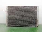 Radiator 4E0121251G Audi A8 (D3) Limousine 4.2 V8 40V Quattro (BFM)