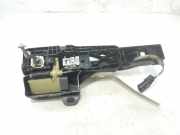 Türgriff Außen Links Vorne 806078862R Renault IV BERLINA 5P BOSE-Edition 131 CV / 96 KW