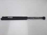 Gasdruckfedern Set Hinten 1U6827550E Skoda Octavia (1U2) Liftback 1.9 TDi GLX,SLX (ALH)