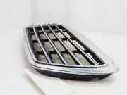 Grill A2118800283 Mercedes-Benz E (W211) Limousine 3.2 E-320 CDI 24V (OM648.961)