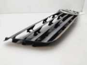 Grill 3B0853653C Volkswagen Passat (3B2) Limousine 1.6 (ARM) ARM