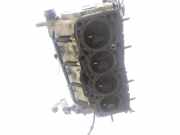 Zylinderkopf 038103373R Seat Ibiza IV (6J5) Schrägheck 5-drs 1.9 TDI 105 (BLS)