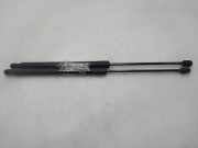 Gasdruckfedern Set Hinten A1699800864 Mercedes-Benz B (W245) Schrägheck 2.0 B-180 CDI 16_V (OM640.940)