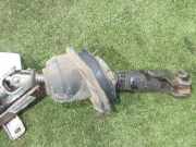 Lenksäule 48810003R Renault Laguna III (BT) Schrägheck 5-drs 1.5 dCi 110 (K9K-780)