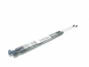 Gasdruckfedern Set Hinten 1489342080 Lancia Phedra Großraumlimousine 2.2 JTD 16V (DW12BTED4(4HT))