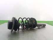 Stoßdämpfer Rechts Vorne 5202LT Peugeot 206 (2A/C/H/J/S) Schrägheck 1.9 D (DW8B(WJY))