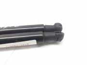 Gasdruckfedern Set Hinten 51247239871 BMW 1 serie (F20) Schrägheck 5-drs 116d 1.5 12V TwinPower (B37-D15A)