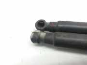 Gasdruckfedern Set Hinten 0051812267 Fiat Bravo (198A) Schrägheck 1.9 JTD Multijet (192.A.8000)