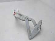 Motorhaubescharnier - 7700352478 Renault Master II (FD/HD) Van 2.5 dCi 120 FAP (G9U-650)