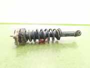 Stoßdämpfer Links Hinten 50515184 Alfa Romeo 159 (939AX) Limousine 2.4 JTDm 20V (939.A.3000)